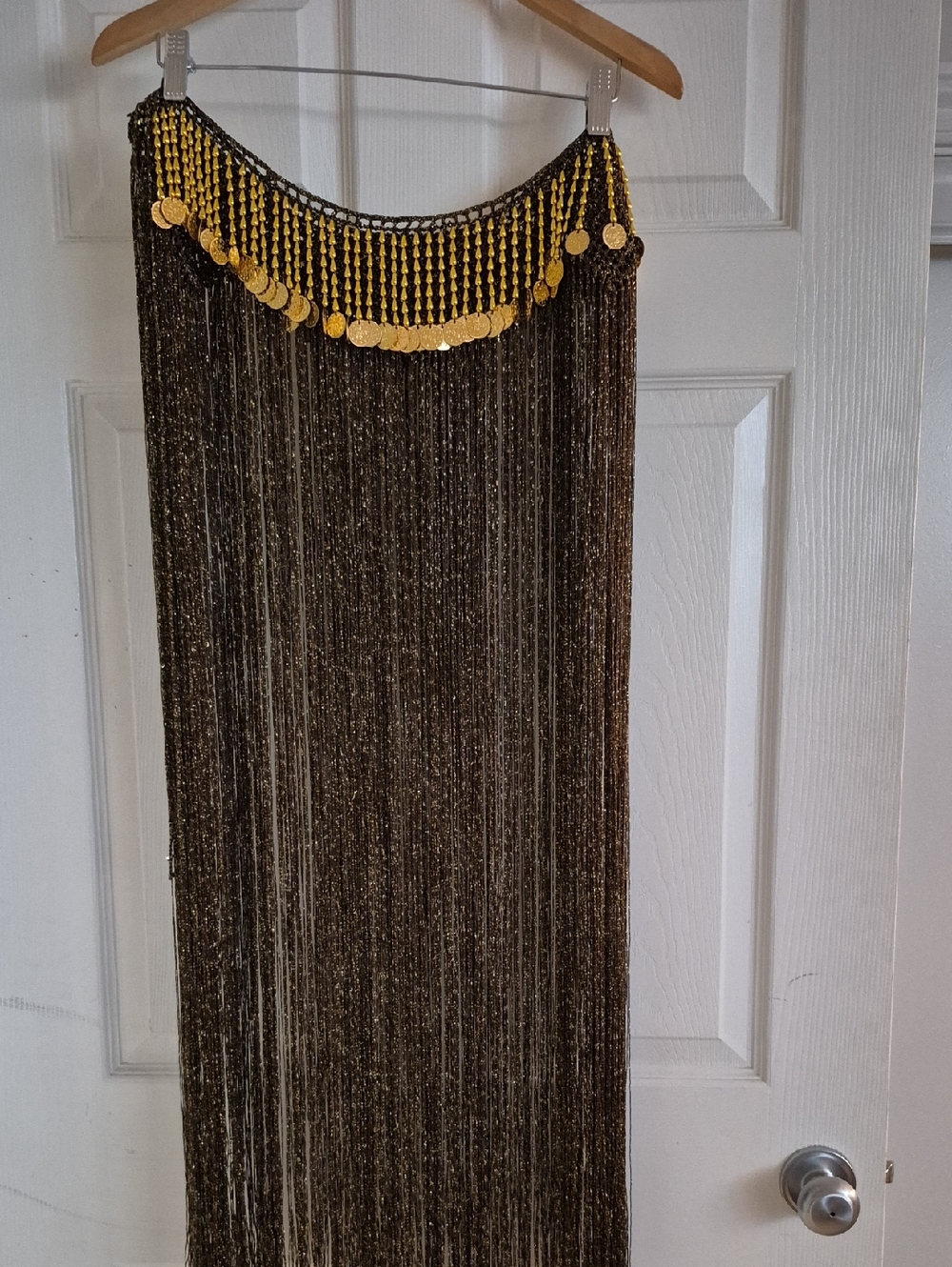 Gold Coin Fringe Maxi Skirt